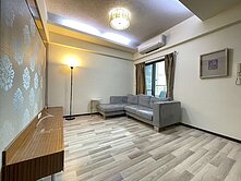 皇龍站前casa小資成家兩房車位『優』