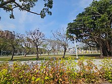 藍田公園/PARKONE三房平車