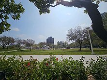 楠梓高大特區/出門就是藍田公園/三房平車