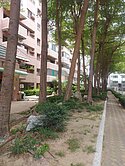 (專)郡安路長谷鳳凰恐龍公園大三房