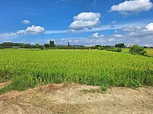 龍潭市區漂亮農地