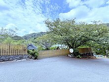 🍎景觀咖啡屋🍎陽明山知名櫻花景點★住商游佳諭