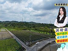 東山科里『102鄉道』大馬路旁5分火龍果園