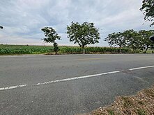 七股工業區大路邊農地雙面路