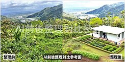 〈焦點〉台東卑南✨1甲2分景觀臨路農牧地