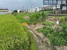 苗栗方正漂亮農地