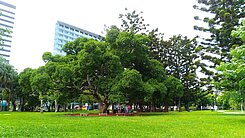 中山國中 榮星花園 五常學區4房✨台灣地產
