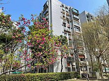 松山新城甲區四房車