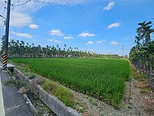 屏東縣竹田鄉方正農地