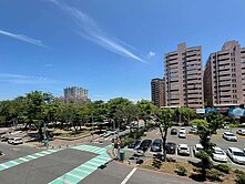 高雄河堤/面公園首排/大四房平車/露台 