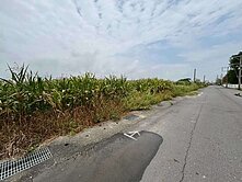 台南安定國中旁*都計內農地發展錢利佳