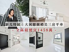 永慶 AB | 新光特區 | 大河戀樹梢三房平車
