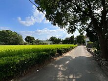 ⚛️中壢都計內102坪-農建地⚛️