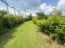 交流道旁農地｜誠意釋出｜井水電齊可立即使用