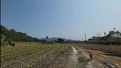 員集路良田美地,可分割