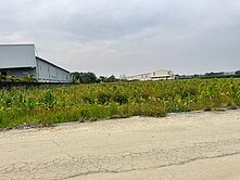 水上擴大都市計劃內徵收農地