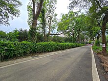 富華街小資一般農