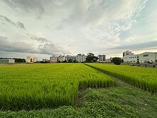 大雅節稅投資首選自強段千坪方正美農地