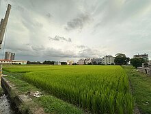 大雅節稅投資首選自強段千坪方正美農地