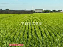 🌟【柳營農地】政策利多熱區｜智慧機器人產業將進駐