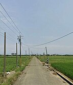 嘉義太保重劃內農地(頂港子墘頂港小段)