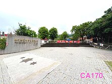 南投國姓～水長流檳榔園～低總價農保地