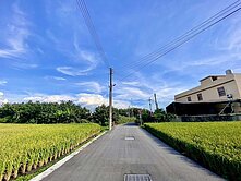 大安區｜稀有特農釋出｜媽祖有保庇