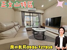 <房仲凱莉>正文山特區｜方城市高樓景觀三房平車