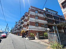 林園新加坡式車墅