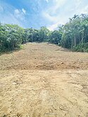 謙樂劉媽*南投中寮「愛樂久福」福德庇佑傳承好運田