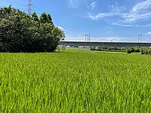 楊梅近高鐵南路買地送屋