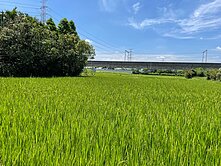 楊梅近高鐵南路買地送屋