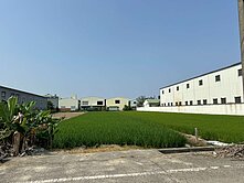 大灣高中一分小農地