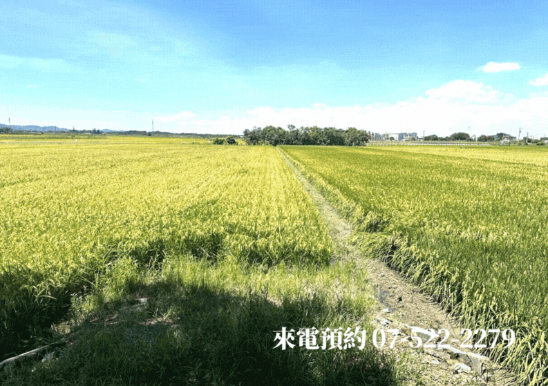 🏆白河區綠色隧道旁臨路方正農地
