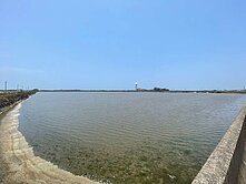 (專)七股大路旁6.75甲一般農養殖用地