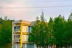 💎獨家釋出｜休閒渡假別墅｜落羽松民宿💎