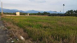 新埤省道都計農地