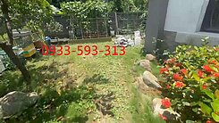 觀音高中獨棟 大地坪花園別墅 停2-3部車