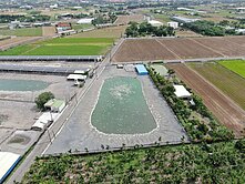 三角窗｜大面寬｜超值合法養鴨場