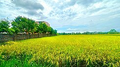 安農溪分洪堰旁足坪農地🌱新樂園五結店