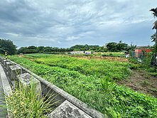 桃園市區都市計畫農地