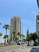 台南善化LM地標次頂樓3房平車植村NY永久景觀