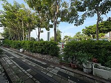 專任~鄰近中清捷運站/水湳經貿/前後臨路/透天店面