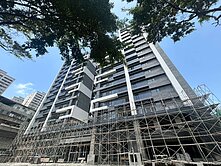 專任森林首席頂樓大三房平車面公園