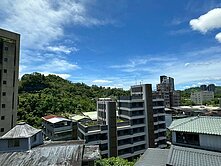 遠眺101仙境鼎佳大空間