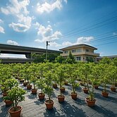 豐原國道旁都計內40米方正農角地(專)