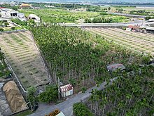 都市計畫內(里港臨路漂亮農地)