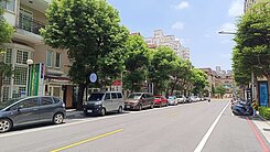 獨家/藝文特區/正臨中埔二街卡洛琳別墅/稀有釋出