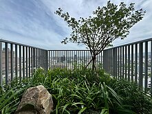 14期大塊森濤◆大三房獨立大平車◆宜居陽台視野無價