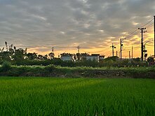 青埔特區A19捷運旁聖德路旁方正農地